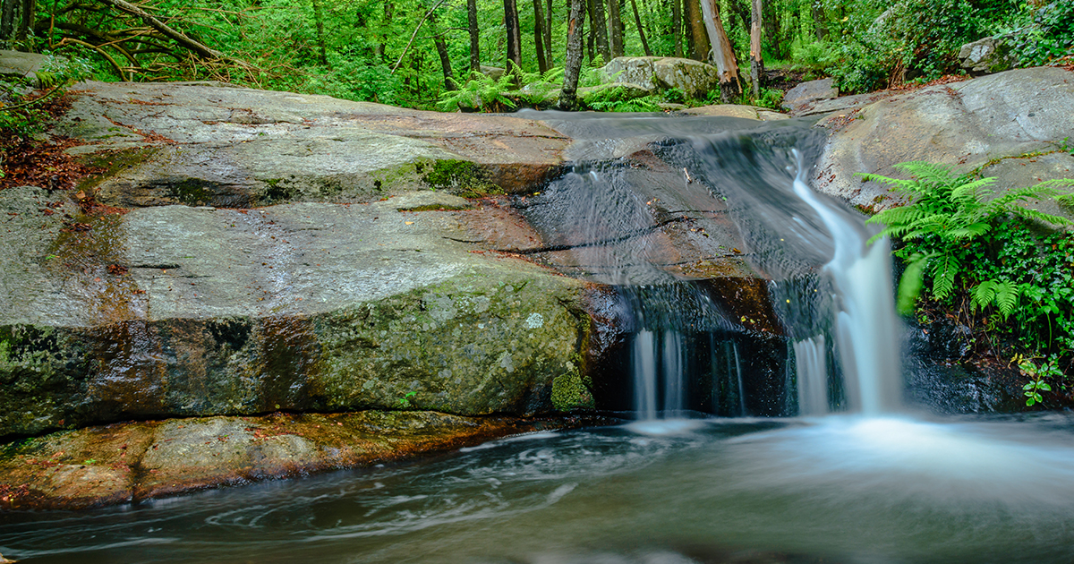 Parc Natural del Montseny (Barcelona)