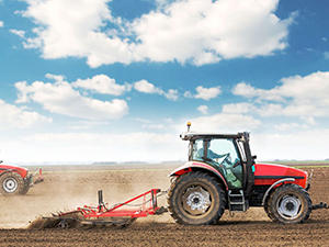 Apoyo al sector agro, clave para la economía y la supervivencia