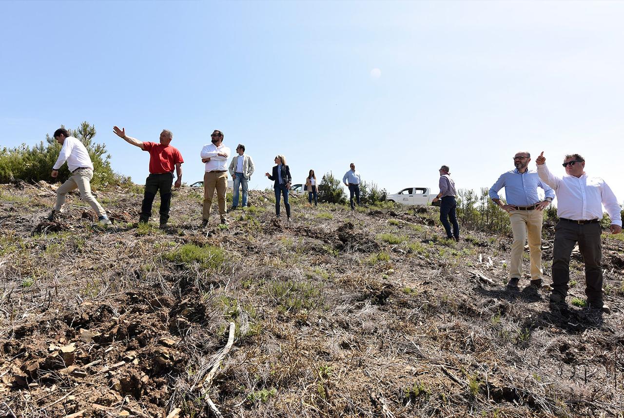 Desde su puesta en marcha, más de 800 empleados voluntarios, junto a sus familias, han participado en las acciones promovidas por Santander Natura, como la limpieza de playas en Galicia, Asturias o Guipúzcoa.